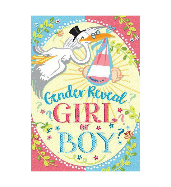 Double Sided House Flags | Gender Reveal Flag Double Sided House Flags Double Sided House Flags