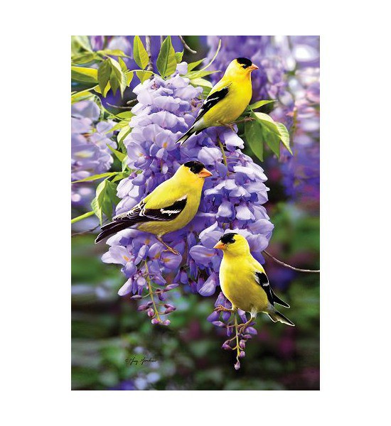 Double Sided House Flags | Goldfinch Wisteria Flag Double Sided House Flags Double Sided House Flags