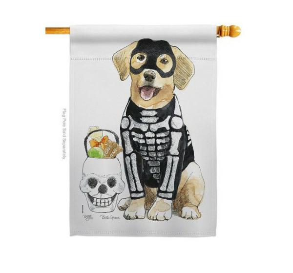 Halloween Flags | Spooky Skeleton Lab House Flag Halloween Flags Halloween Flags