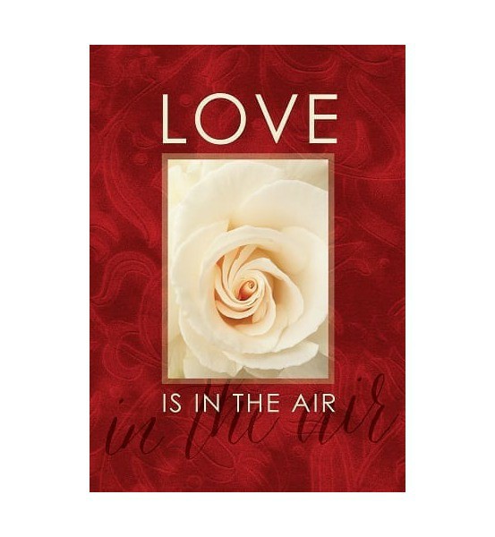 Valentine Flags | Love Is In The Air Flag Holiday Flags Valentine Flags